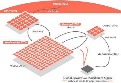 Network configuration