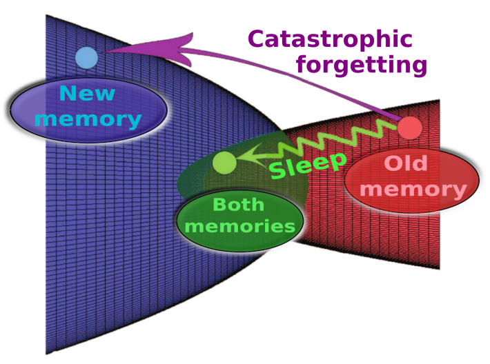 Diagram of Manifolds in Synaptic Space