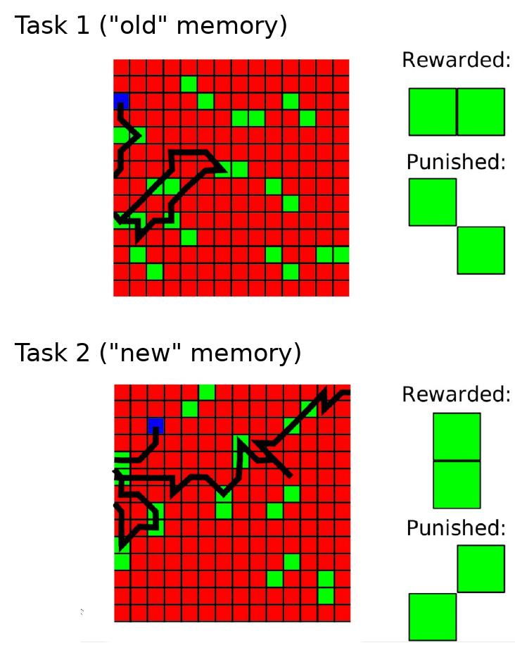 Diagram of Manifolds in Synaptic Space
